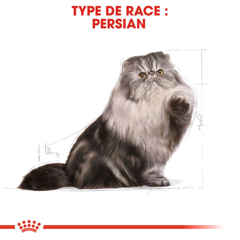 Croquettes Pedigree