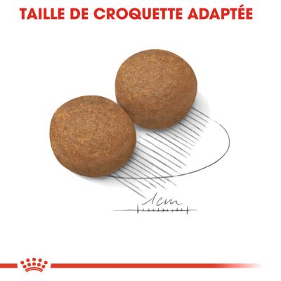 Croquettes 500g pour chien