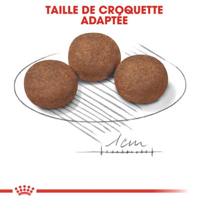 Croquettes puppy Medium