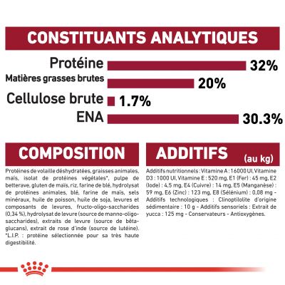 Croquettes puppy Medium