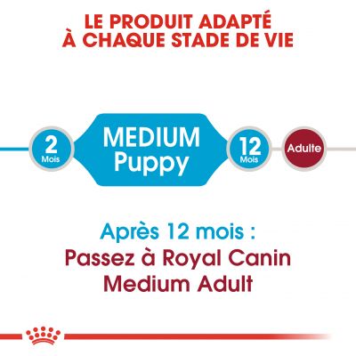 Croquettes puppy Medium