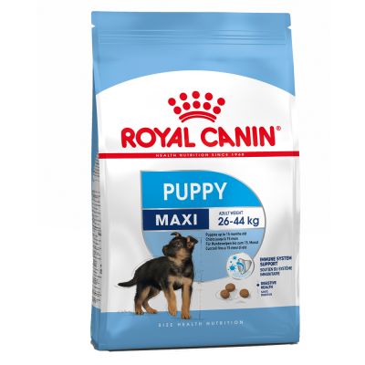 Croquettes puppy maxi