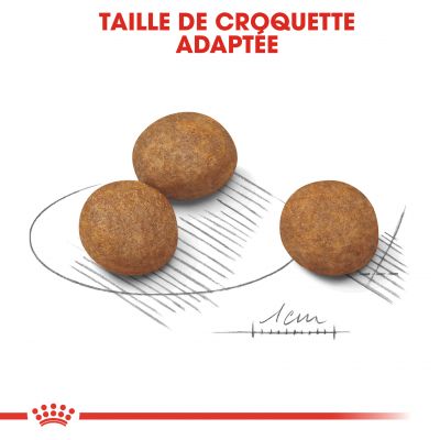 Croquettes puppy maxi