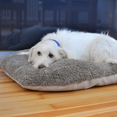 Coussin orthopédique
